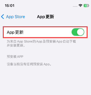 保山苹果15维修中心如何让iPhone15APP自动更新